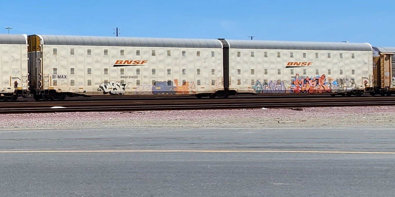 BNSF 314552 BI-MAX PAIR